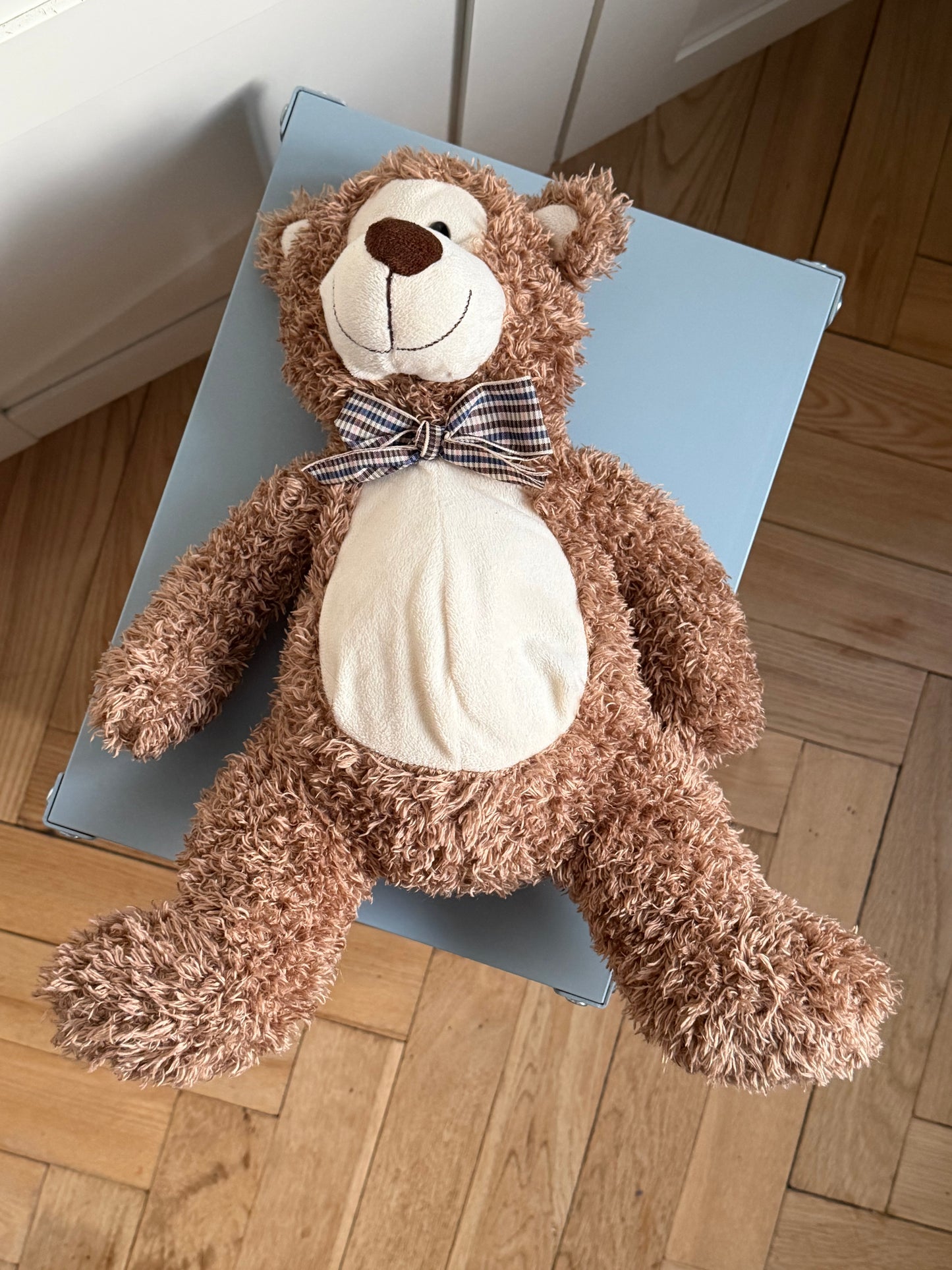 Pliušinis meškutis