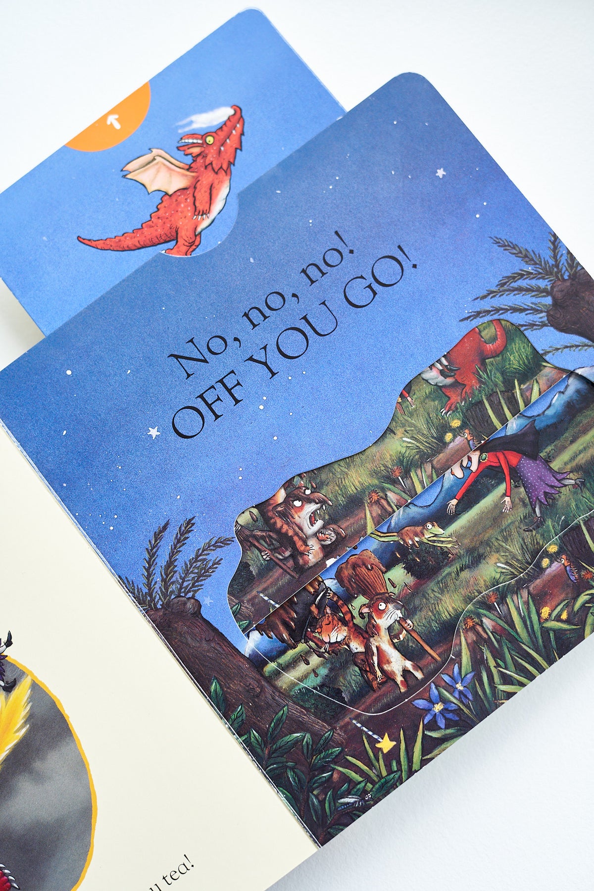 Julia Donaldson ir Alex Scheffler ROOM ON THE BROOM