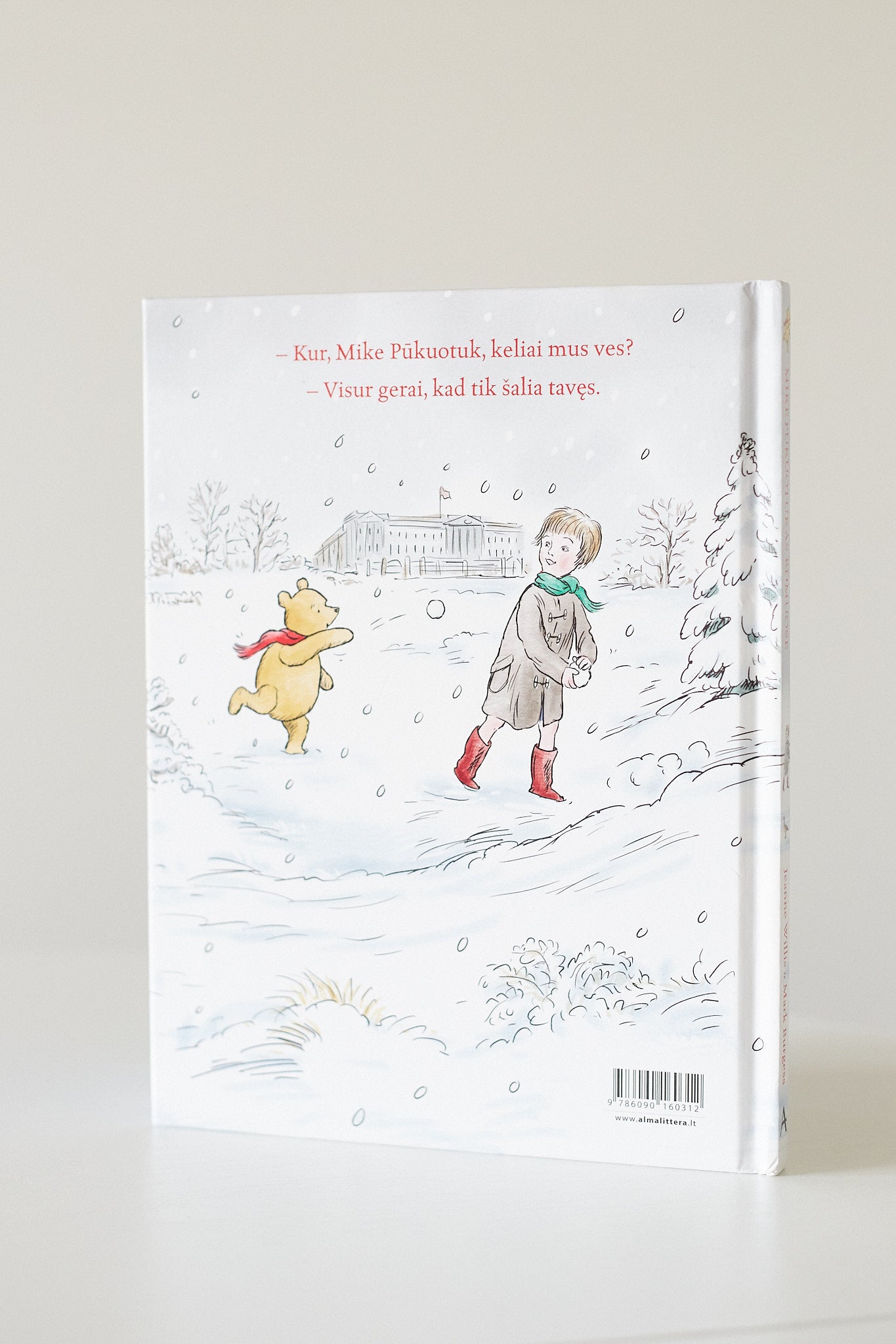 Jeanne Willis MIKĖ PŪKUOTUKAS RŪMUOSE