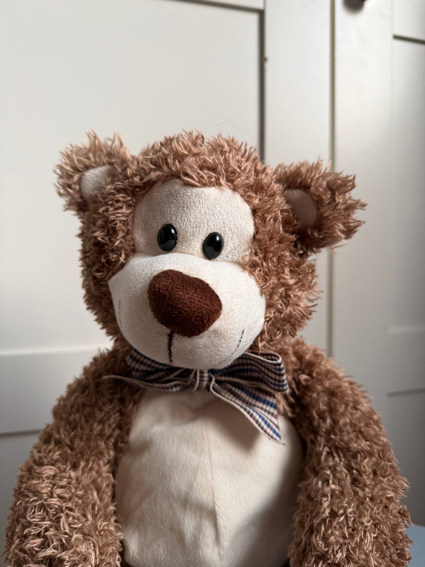 Pliušinis meškutis