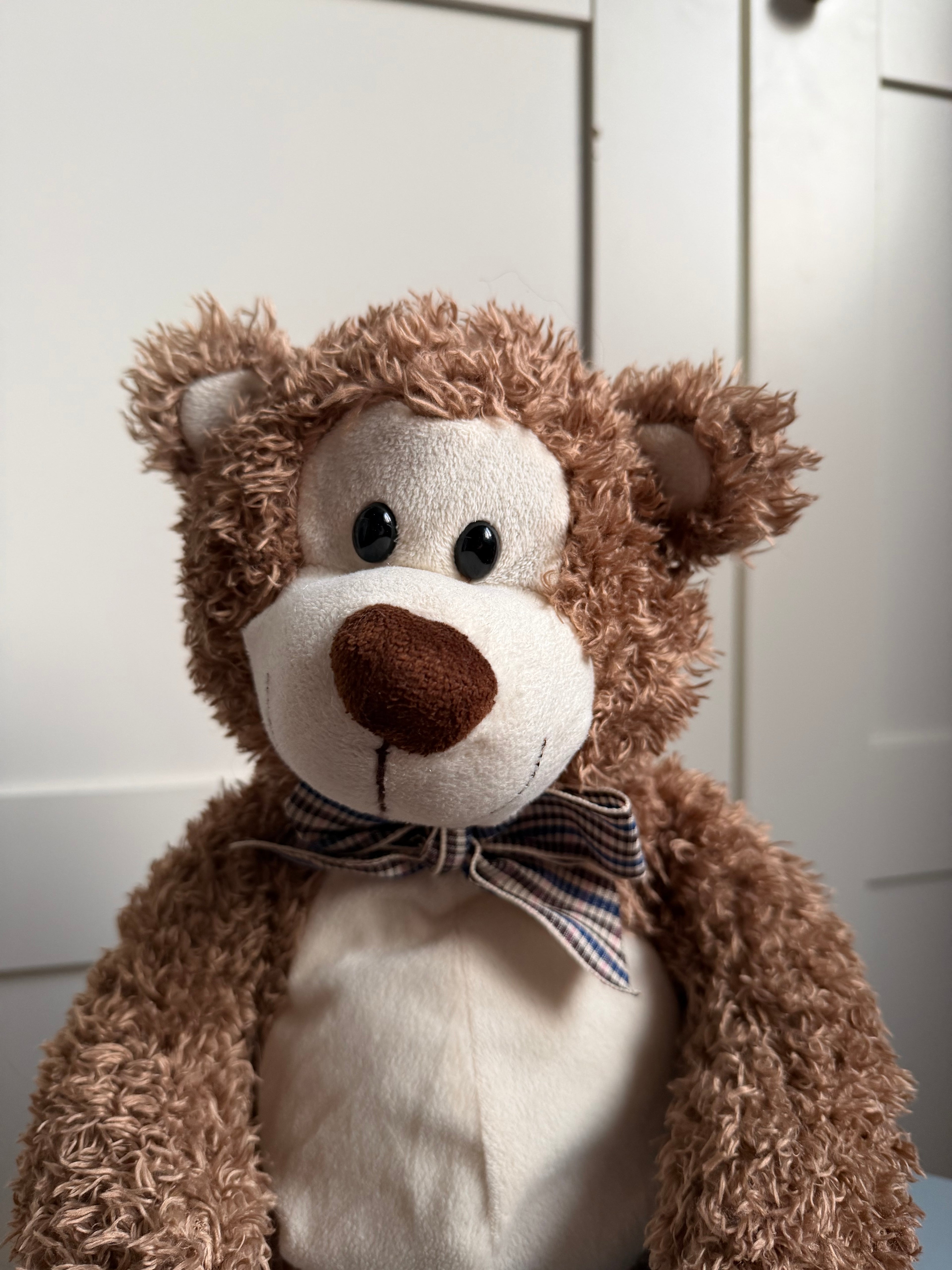 Pliušinis meškutis