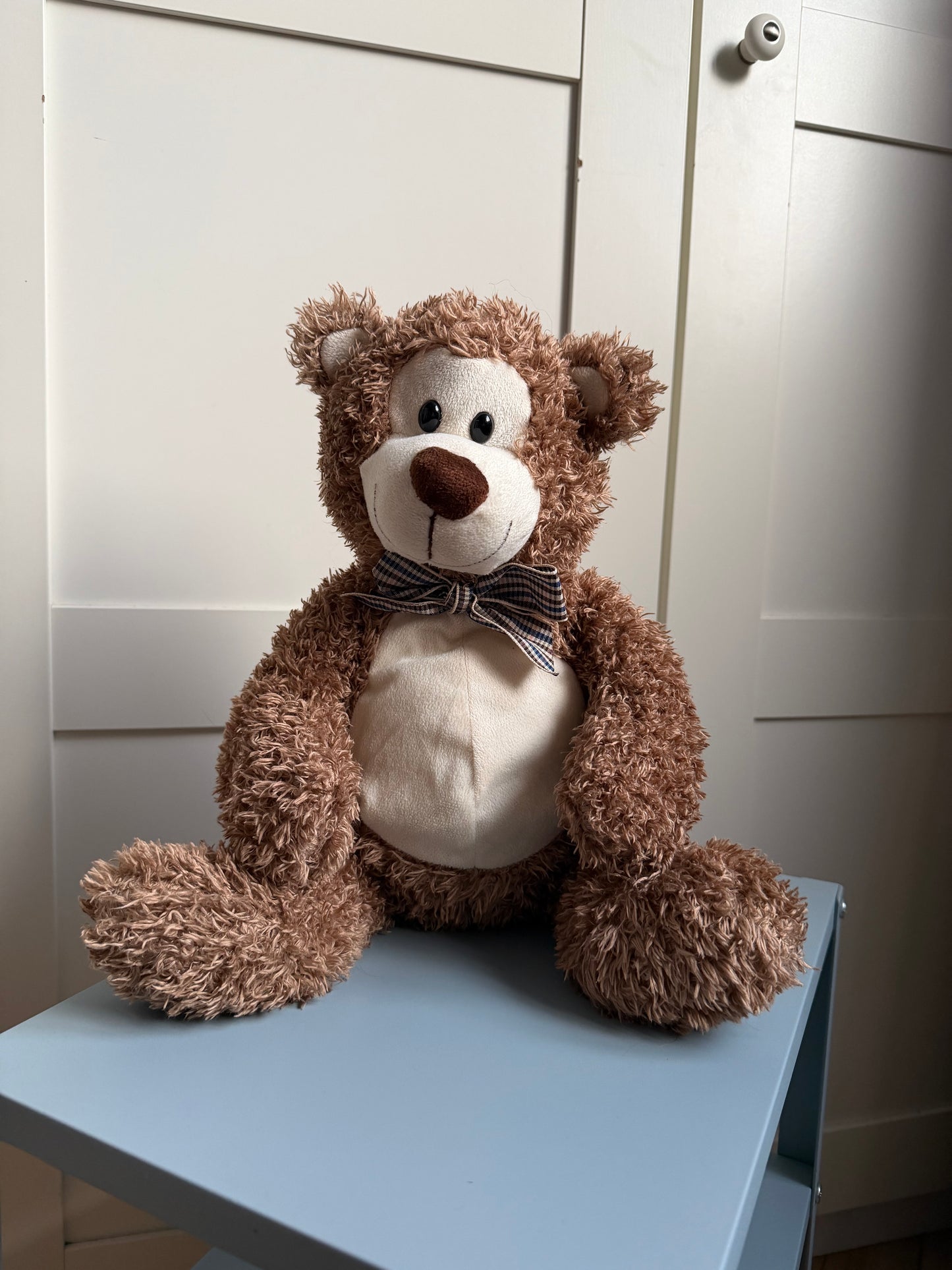 Pliušinis meškutis