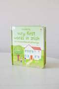 VERY FIRST WORDS IN IRISH