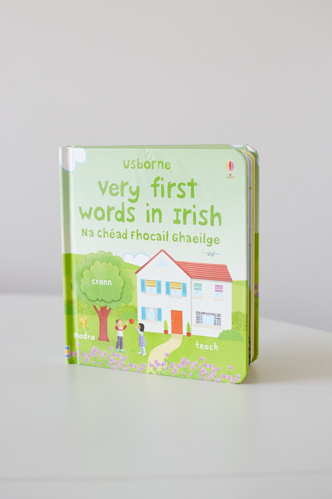 VERY FIRST WORDS IN IRISH