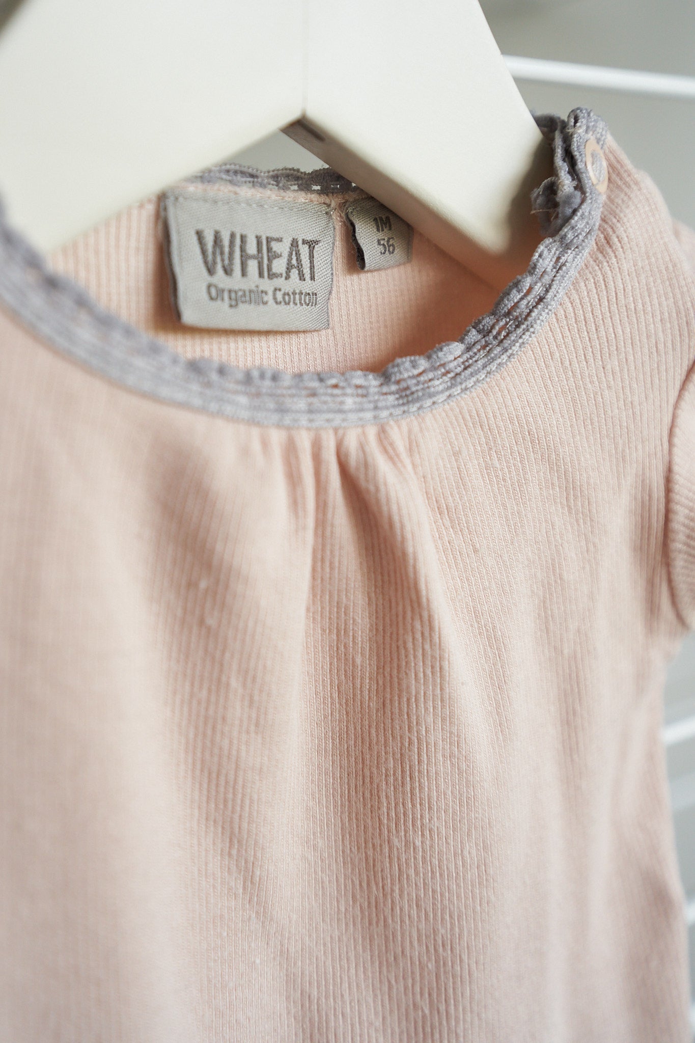 Smėlinukas - WHEAT