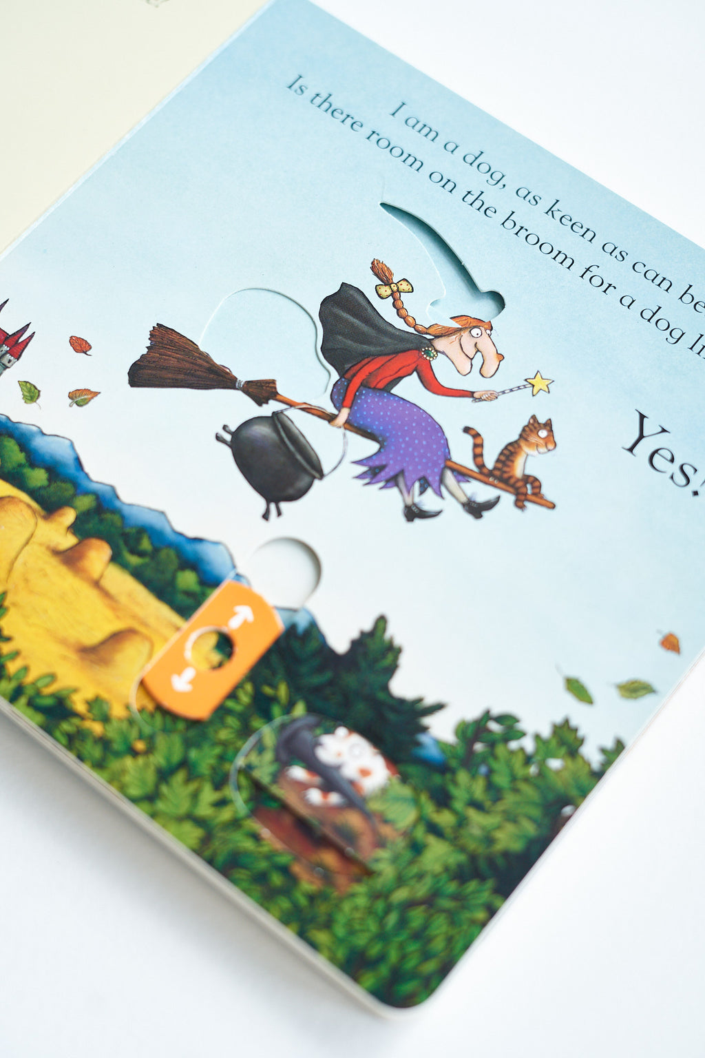 Julia Donaldson ir Alex Scheffler ROOM ON THE BROOM